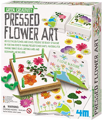 4M Green Creativity Pressed Flower Art Kit, Recycle Flowers Art and Crafts DIY Kit, For Boys and Girls Ages 5+