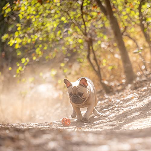 Chuckit! Air Fetch Ball Dog Toy, Small, Pack of 2