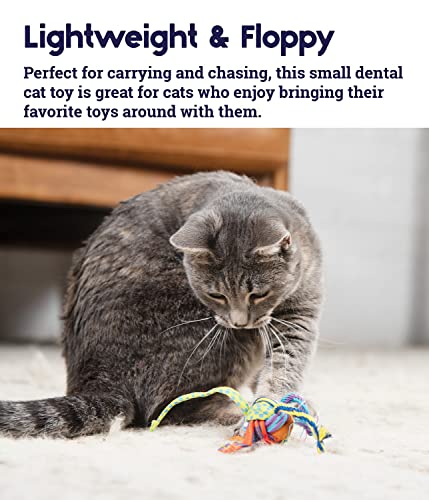 Petstages Tons of Tails Dental Catnip Cat Toy