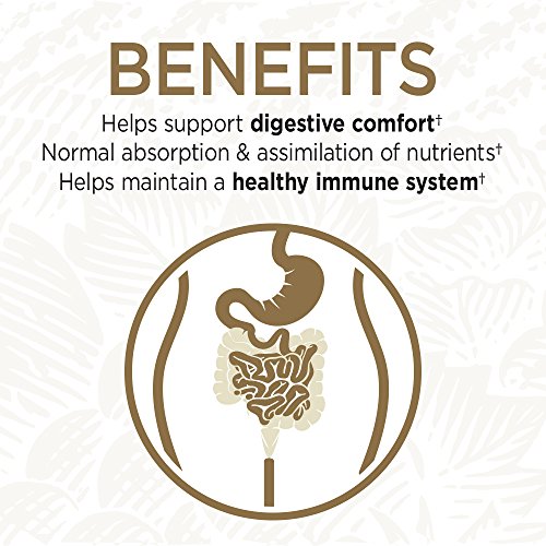 Garden of Life Whole Food Probiotic Supplement - Primal Defense Ultra Ultimate for Digestive and Gut Health, 216 Vegetarian Capsules