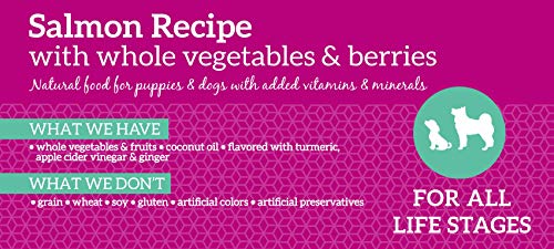Health Extension Dry Dog Food, Natural Food with Added Vitamins and Minerals, Suitable for All Puppies, Grain Free, Duck Recipe with Whole Vegetable and Berries (4 Pound)
