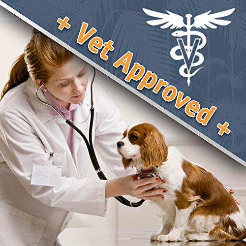 Jungle Pet Dog Multivitamin for Dogs - Antioxidants, Minerals and Vitamin E for Dogs - Heart Shaped Dog Multivitamins Chewable Dog Vitamins and Supplements - Hickory Bacon Flavor - 60 ct