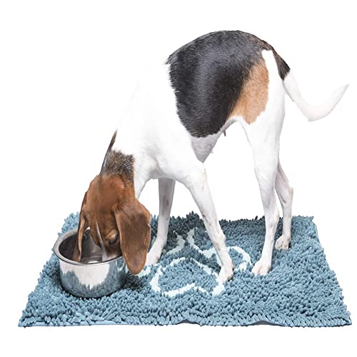 Dog Gone Smart Dirty Dog Microfiber Paw Doormat - Muddy Mats For Dogs - Super Absorbent Dog Mat Keeps Paws and Floors Clean - Machine Washable Pet Door Rugs with Non-Slip Backing | Large Pacific Blue
