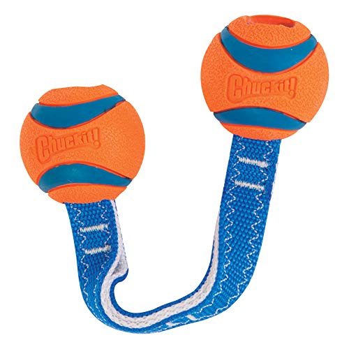 Chuckit! Ultra Duo Dog Tug Toy, Small Indoor and Outdoor Dog Toy