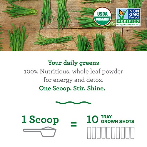 Amazing Grass Wheat Grass Powder: 100% Whole-Leaf Wheat Grass Powder for Energy, Detox and Immunity Support, Chlorophyll Providing Greens, 30 Servings