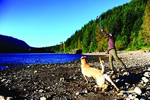 Petmate Chuckit Pro Fetch Toy Ball Launcher For Dogs; Compatible With Any Chuckit! Ball Of The Same Size, Medium 18 Inch