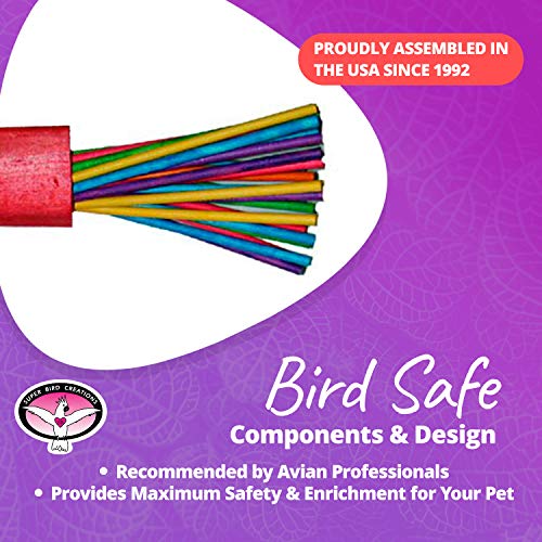Super Bird Creations SB301 Chewable Paper Party Bird Toy with Colorful Lollipop Sticks, Large Size, 6.5” x 1.5” x 1.5”,Varies