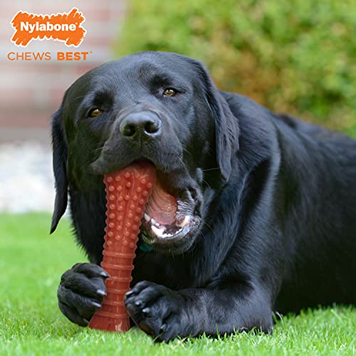 Nylabone Power Chew Durable Dog Toy Bacon X-Large/Souper (1 Count)