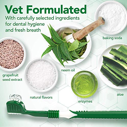 Vet’s Best Dog Toothbrush and Enzymatic Toothpaste Set - Teeth Cleaning and Fresh Breath Kit with Dental Care Guide - Vet Formulated