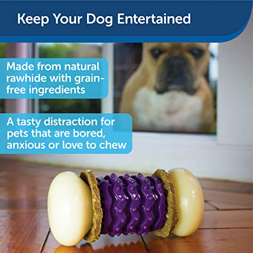 PetSafe Busy Buddy Nobbly Nubbly Treat Holding Dog Toy – Strong Chewers – Challenging - Treat Rings Included - Medium