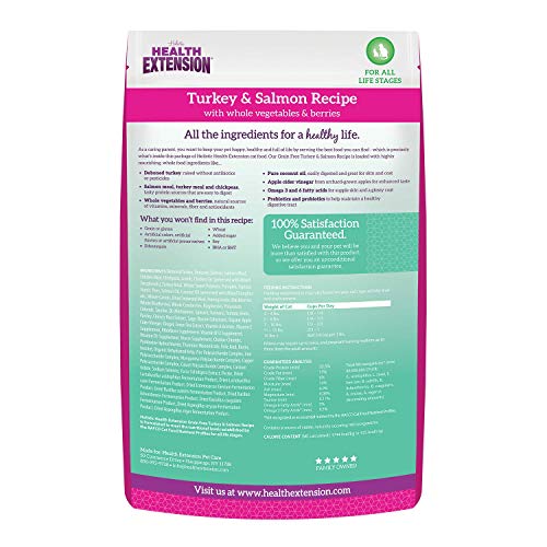 Health Extension Dry Cat Food, Natural Food with Added Vitamins and Minerals, Suitable for All Kittens and Adult Cats, Turkey and Salmon Recipe with Whole Vegetable and Berries (15 Pound / 6.8 kg)