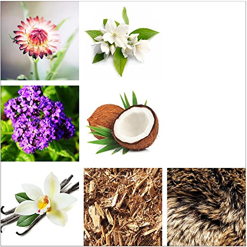 RACHEL ZOE Empowered Eau de Parfum Spray, Perfectly Balanced Feminine Perfume for Women, Awaken the Senses with a Lasting Signature Designer Scent, 3.4 Fl Oz