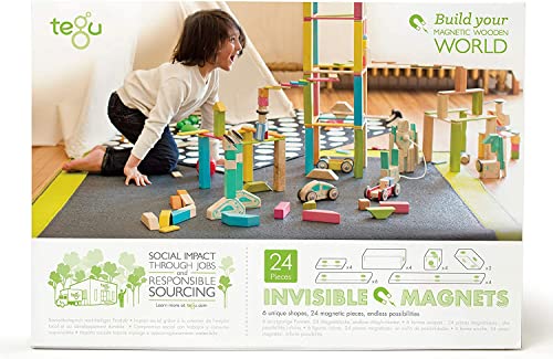 24 Piece Tegu Magnetic Wooden Block Set, Blossom, 1-99 years old