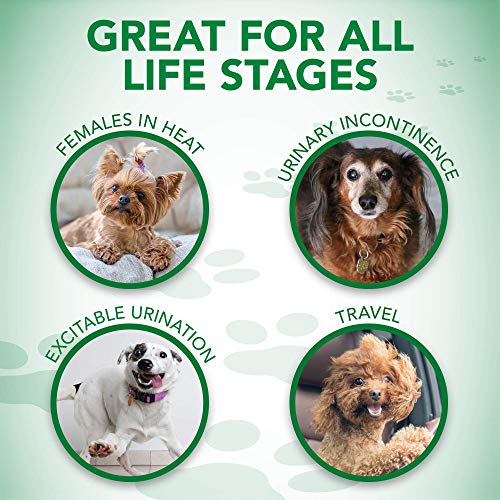 Vet's Best Comfort Fit Dog Diapers | Disposable Female Dog Diapers | Absorbent with Leak Proof Fit | Large/X-Large, (pack of 12)