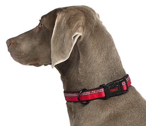 The Company of Animals - Halti Collar (14' - 20'), Medium, Purple