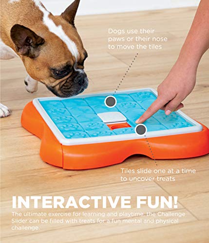 Outward Hound Nina Ottosson Challenge Slider Interactive Treat Puzzle Dog Toy, Advanced
