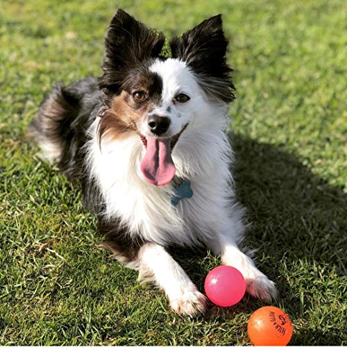 Dog Fetch Ball Small 2 Count (Pack of 1), (Assorted)