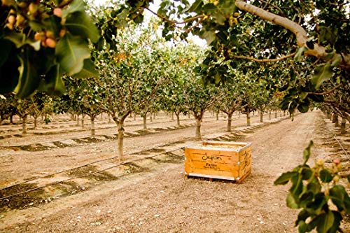 Setton Farms Pistachios, Bulk Box of Roasted Unsalted Pistachios, Premium California In Shell Pistachio Nuts, 25 pound case, Large Pistachios, Certified Non GMO, Gluten Free, Vegan and Kosher