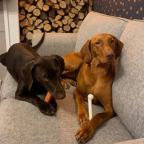 Nylabone Classic Power Chew Toys Twin Pack - Dog Toys for Aggressive Chewers - Tough and Durable Dog Bones for Large Dogs - Bacon and Chicken Flavors, Large/Giant (2 Count)