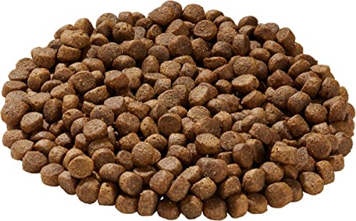 Health Extension Weight Control Dry Dog Food, Natural Food for Overweight Adult Dogs with Added Vitamins and Mineral, Lite Chicken and Brown Rice Recipe (15 lbs / 6.8 kg)