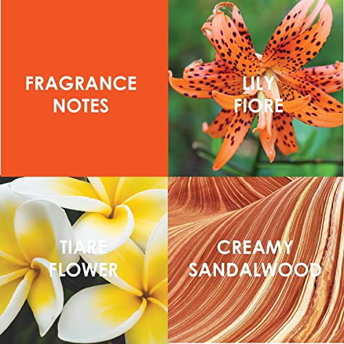 Britney Spears Blissful Fantasy Limited Edition, Eau De Toilette EDT Spray for Women, 1 Fl Oz