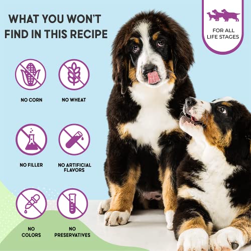 Health Extension Dry Dog Food, Natural Food with Added Vitamins and Minerals, Suitable for Puppies and Dogs, Original Chicken and Brown Rice Recipe (15 Pound / 6.8 kg)