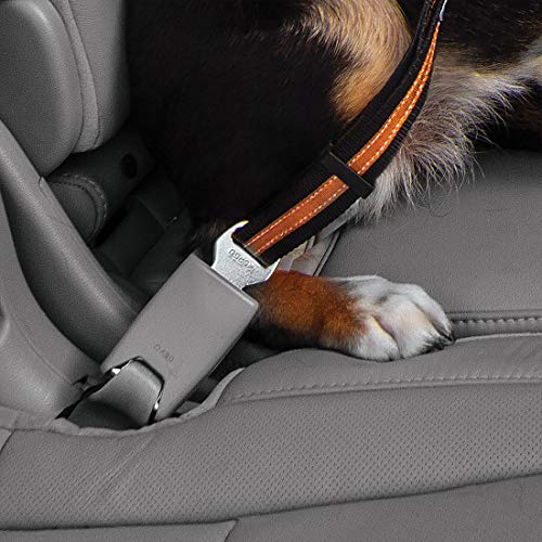 Kurgo Direct to seat belt Tether for Dogs, Car seat belt for Pets, Adjustable Dog Safety Belt Leash, Quick and Easy Installation, Works with Any Pet Harness, Carabiner, Swivel, Bungee, Zipline