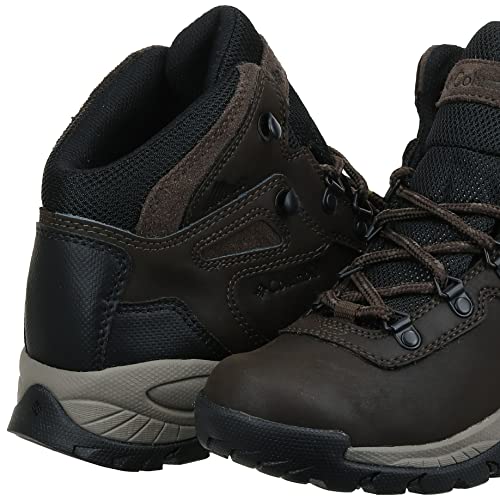 Columbia womens Newton Ridge Plus Waterproof Hiking Boot, Cordovan/Crown Jewel, 6 US