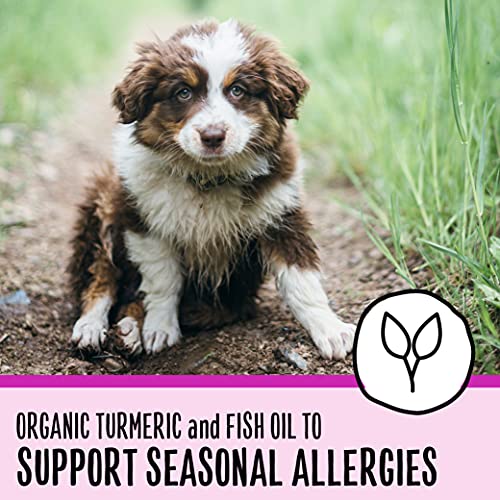 SmartyPants Dog Vitamins and Supplements, Multivitamin with Glucosamine, Chondroitin, and Probiotics for Joint, Skin, and Gut Support, Peanut Butter Flavor, 60 Soft Chews by SmartyPaws