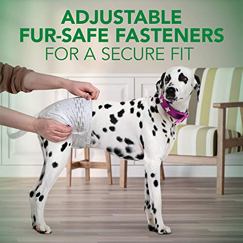 Vet's Best Comfort Fit Dog Diapers | Disposable Female Dog Diapers | Absorbent with Leak Proof Fit | Large/X-Large, (pack of 12)