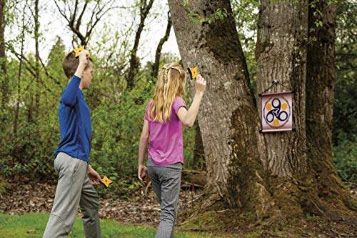 Warrior's Mark Throwing Stars Game