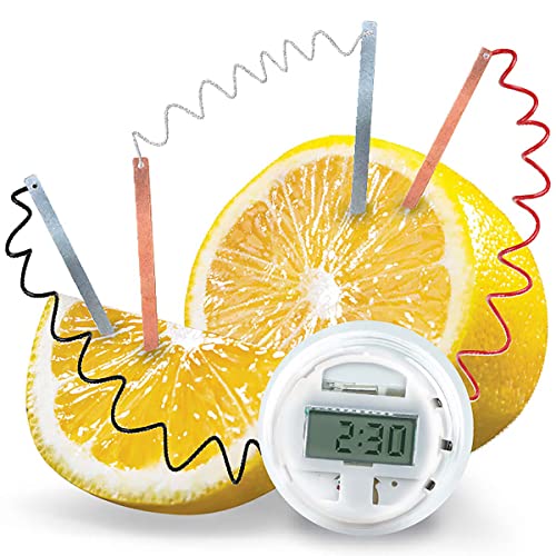 4M Kidzlabs Lemon Powered Clock, Chemical Electrical Science Lab Experiment - STEM Toys Educational Gift for Kids and Teens, Girls and Boys 12 Count (Pack of 1)