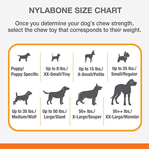 Nylabone Femur Bone Rawhide Alternative Power Chew Durable Dog Toy Femur Rawhide Large/Giant (1 Count)