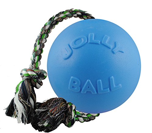Jolly Pets Romp-n-Roll Rope and Ball Dog Toy, 4.5 Inches/Small, Blueberry for All Breed Sizes