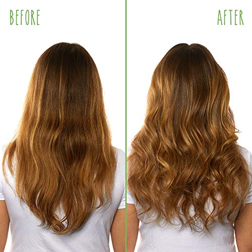 Biolage All-In-One Coconut Infusion | Multi-Benefit Treatment Spray For All Hair Needs | With Coconut | For All Hair Types | Sulfate and Paraben-Free | Vegan | 5 Fl. Oz