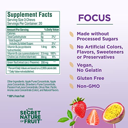 The Secret Nature of Fruit Focus Chews, Real Fruit Powered Vitamin Chews with Vitamins B6 and B12, Choline, L-Theanine, Passion Fruit and Strawberry for Mental Clarity, Gummy (60 Count)