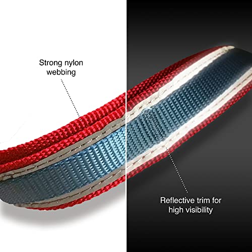 Kurgo 6 in 1 Hands Free Dog Leash , Reflective Running Belt Leash for Dogs, Crossbody and Waist Belt Leash, Carabiner clip, Padded Handle, For Training, Hiking, or Jogging, Quantum Leash, Coastal Blue