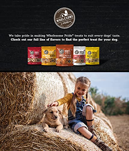 Wholesome Pride Sweet Potato Fries 100% All-Natural Single Ingredient, USA-Sourced Dog Treats, 8 oz