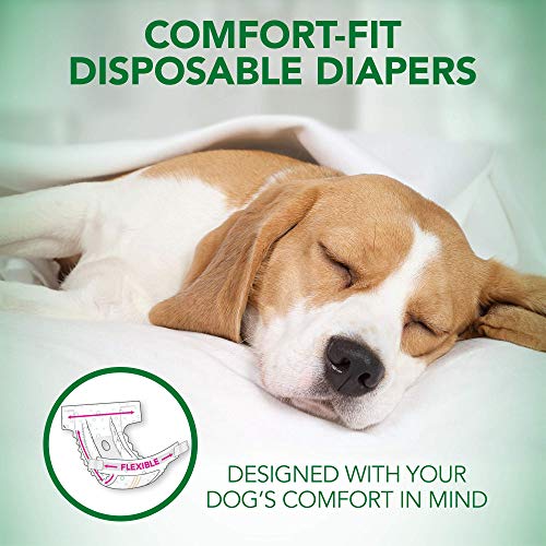 Vet's Best Comfort Fit Dog Diapers | Disposable Female Dog Diapers | Absorbent with Leak Proof Fit | Large/X-Large, (pack of 12)