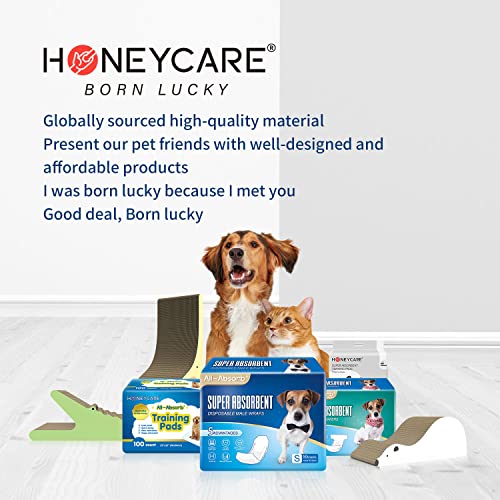 HONEY CARE All-Absorb, Large 22' x 23', 100 Count, Dog and Puppy Training Pads, Ultra Absorbent and Odor Eliminating, Leak-Proof 5-Layer Potty Training Pads with Quick-Dry Surface, Blue, A01