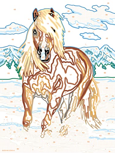 Ravensburger CreArt The Royal Horse Paint by Numbers Kit for Kids - Painting Arts and Crafts for Ages 9 and Up