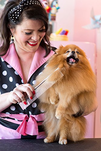 Andis Pet 10-Inch Steel Comb (65725), Silver