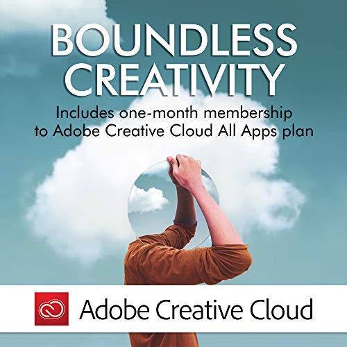 LaCie Rugged USB-C 4TB External Hard Drive Portable HDD – USB 3.0, Drop Shock Dust Rain Resistant Shuttle Drive, for Mac and PC Computer Desktop Workstation Laptop, 1 Month Adobe CC (STFR4000800)