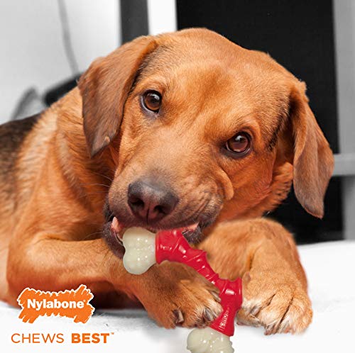 Nylabone Double Bone Power Chew Long-Lasting Dog Toy Bacon X-Small/Petite (1 Count)