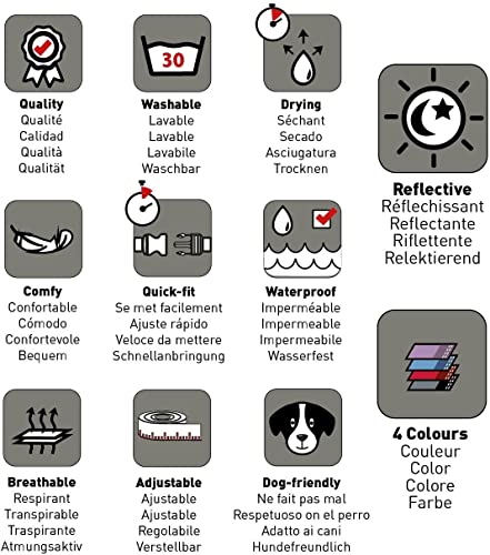 The Company of Animals - Halti Collar (14' - 20'), Medium, Purple