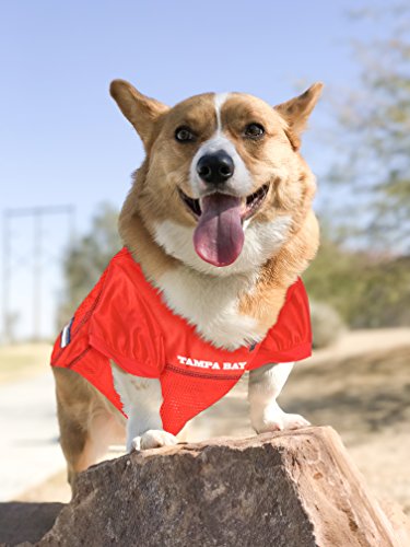 NFL Tampa Bay Buccaneers Dog Jersey, Size: X-Small. Best Football Jersey Costume for Dogs and Cats. Licensed Jersey Shirt.