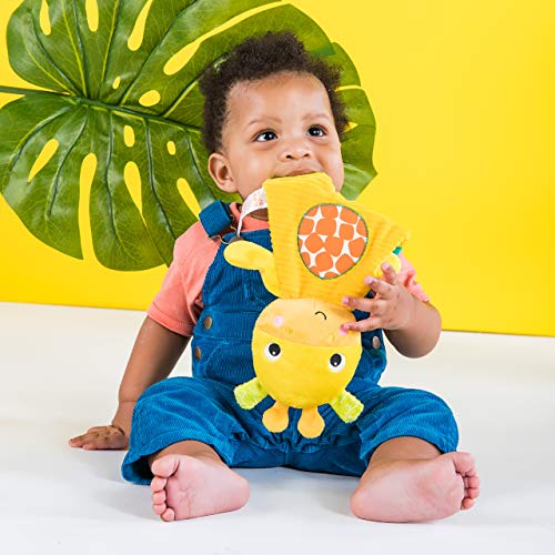 Bright Starts Snuggle Teethe Plush Teething Baby Toy - Giraffe, Crinkle Fabric, Ages 0 Months
