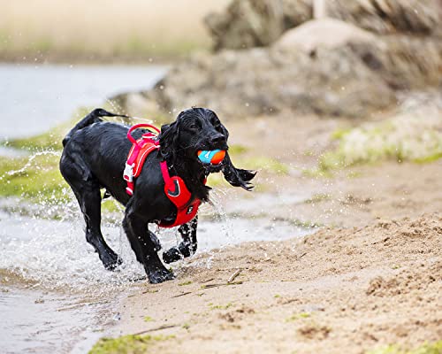 ChuckIt! Amphibious Fetch Balls, Set of 3