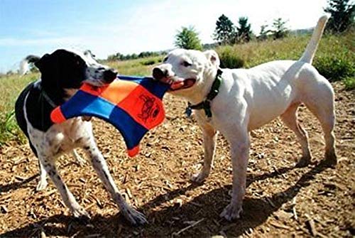 Chuckit! Flying Squirrel Spinning Dog Toy, Small (Orange/Blue), Multi Colored