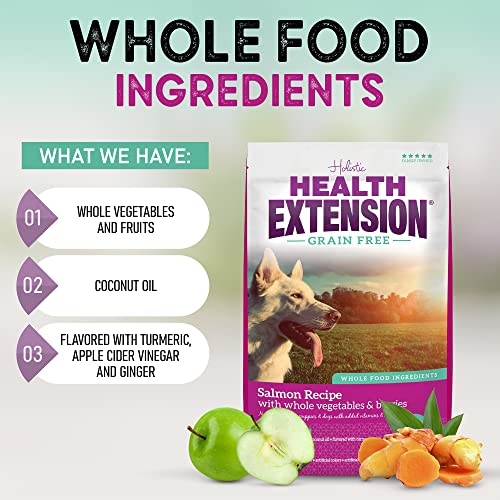 Health Extension Dry Dog Food, Natural Food with Added Vitamins and Minerals, Suitable for All Puppies, Grain Free, Duck Recipe with Whole Vegetable and Berries (4 Pound)